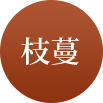 three1 J9国际集团(中国)-官方网站